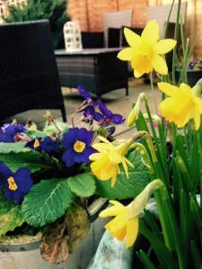 daffidols Fiona Osbourne